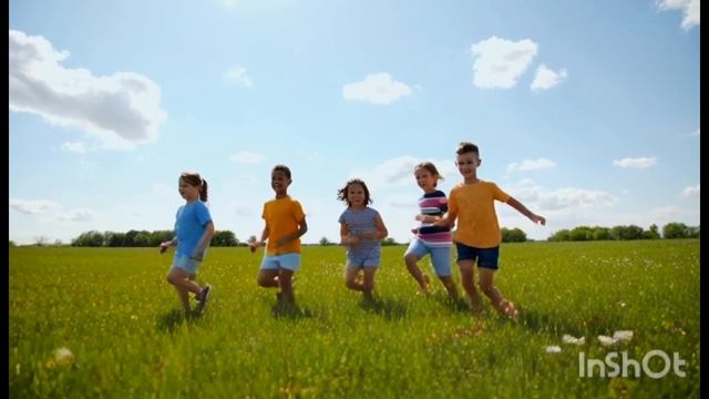 Вой сирены и мигалка.