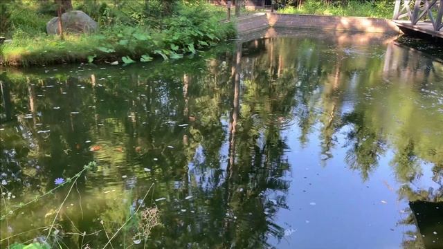 Рыба в своем пруду.Выживание и гибель разных видов