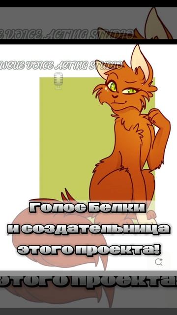 Приветка беличьей звезды!
ибо же белки!🔥
Wcue voice acting studio