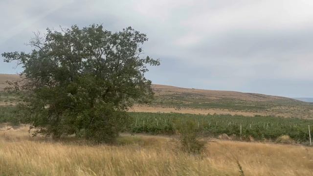 Крым. Трасса Таврида