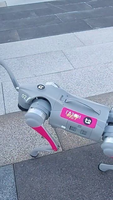 Бионический робот собака Unitree Go2 Air