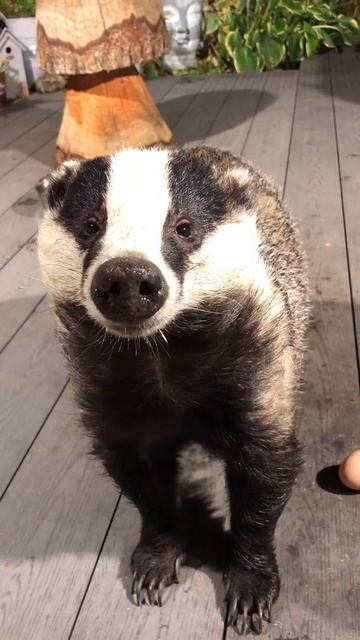 VID_20250816_111916_689.mp4