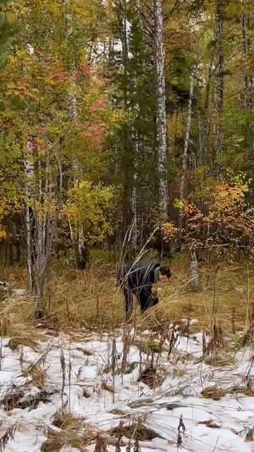 Грибы зимой. #shorts #грибы