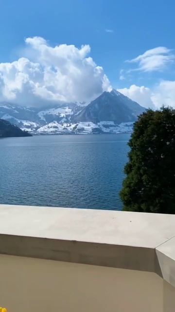 Пчела - Апельсиновый закат @pchela-music #пчела #апельсиновыйзакат #закат #апельсины #хит #диск