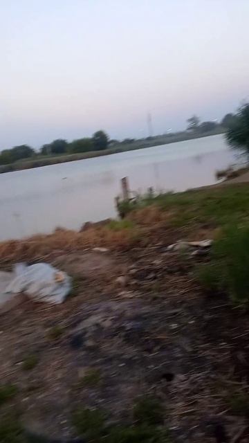 VID-20250705-WA0010.mp4