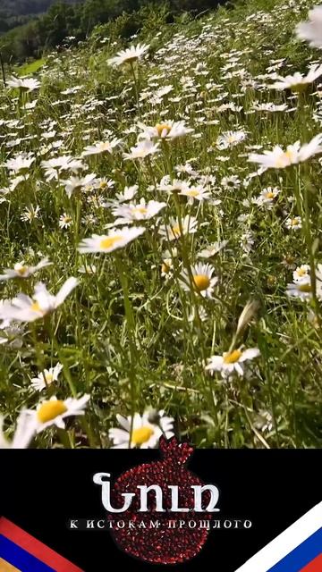 Детства моего картина