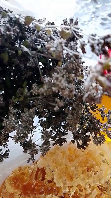 Алтайский дикий мëд😋#лето #алтай#горы#горныйалтай #гелакс#мëд#дикаяприрода #пчëлы#моменты