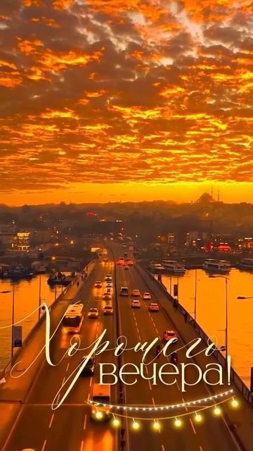 VID_20250816_090232_968.mp4