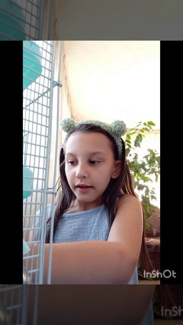 джунгарики