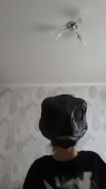 мао чапо папо нео