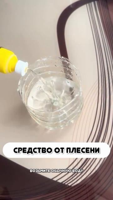 VID_20250816_184814_952.mp4