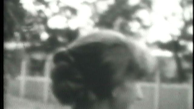 Артеиан 08 Прошлое тысячелетие