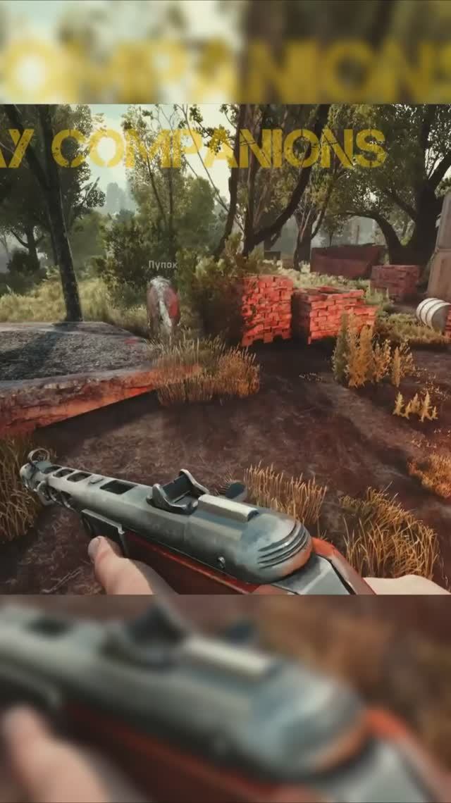 Мод stray companions GAMMA