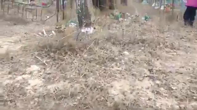 Разгром на кладбище в Рощино