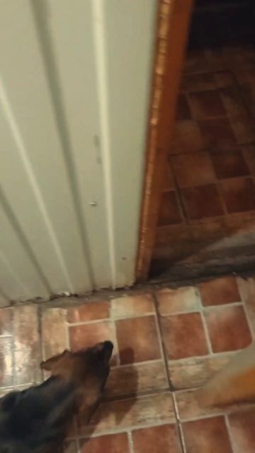 Зимний вечер в бане