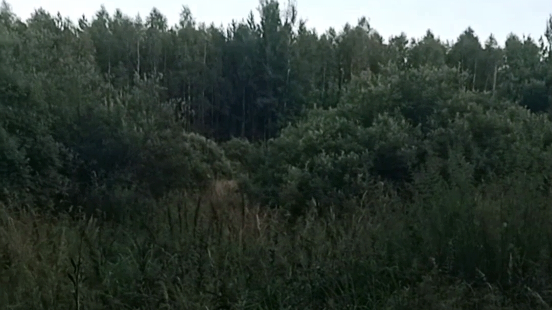 Открытие осенней охоты. Первый день.