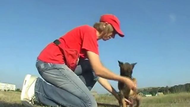 Первые уроки послушания 2 этап. Уроки от Команды Азарт