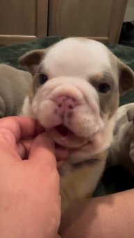 VID_20250816_184736_008.mp4