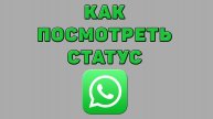 Как посмотреть статус в Ватсапе