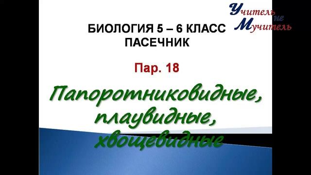 биология 5 класс пар 18 Пасечник Папоротниковидные, плаувидные, хвощевидные