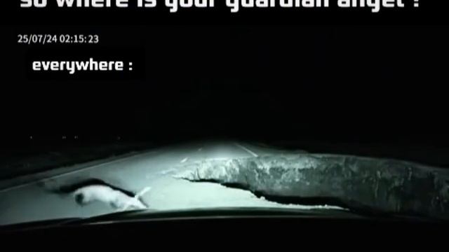 Ангелы Хранители существуют