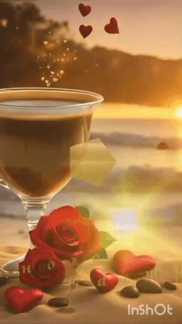 InShot_20250816_191545254.mp4