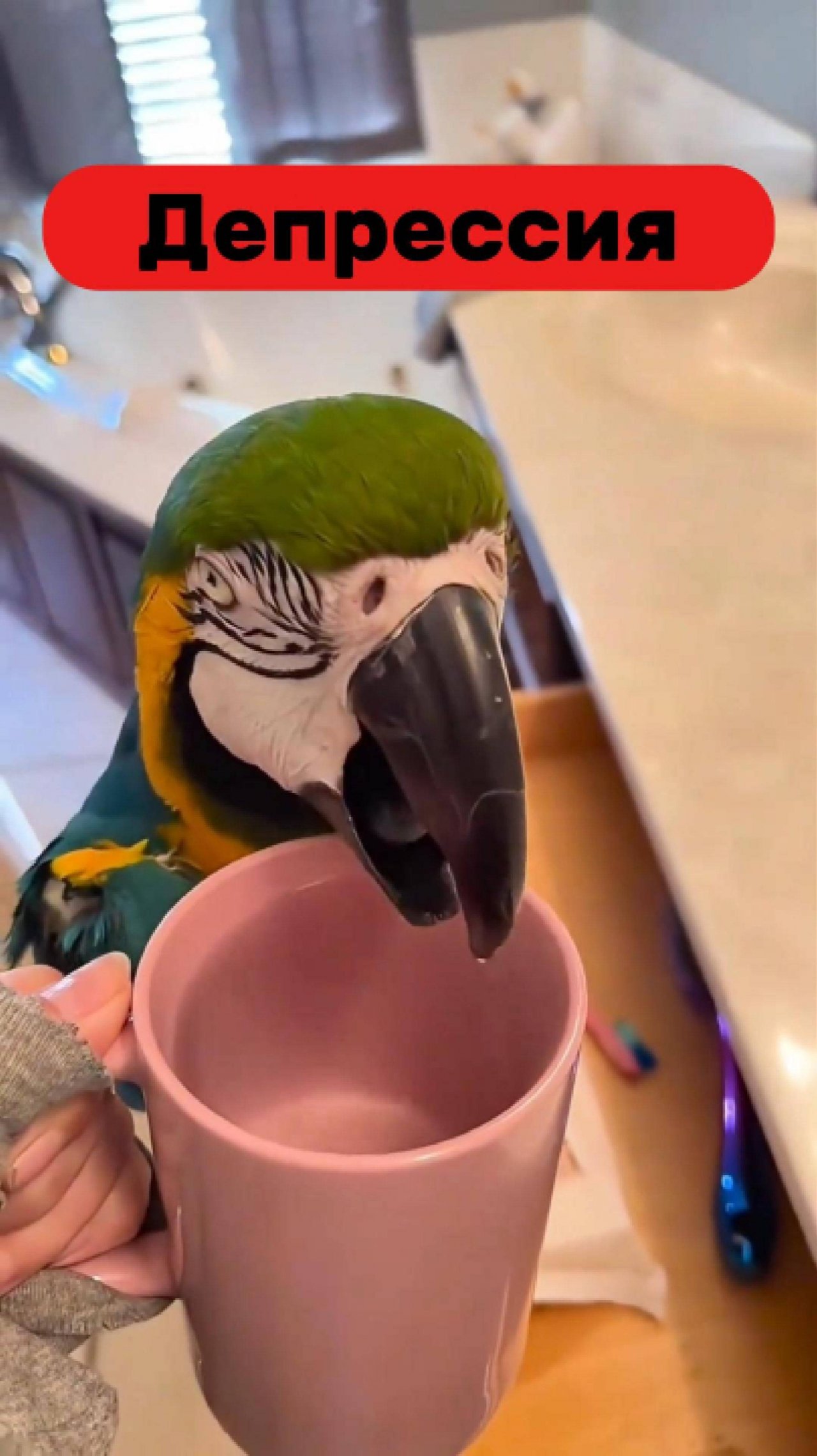 Моя Депрессия...