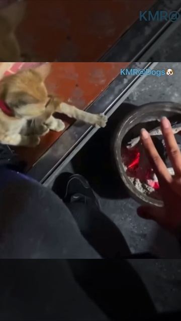 Согревающее тепло дружбы🔥😂