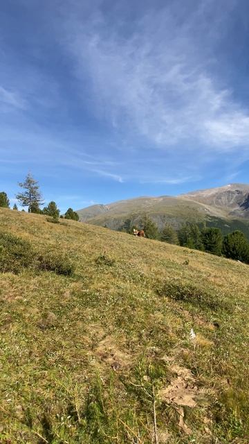 Где-то в горах 🏔️