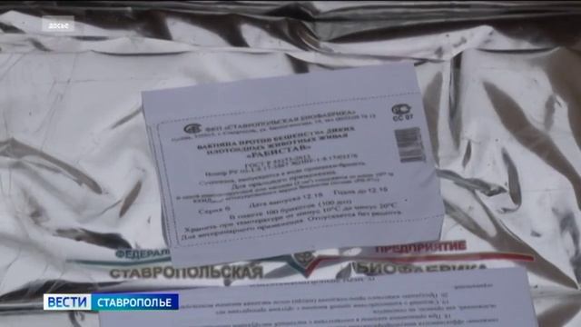 В парке Железноводска запретили кормить енотов, чтобы не заразиться бешенством