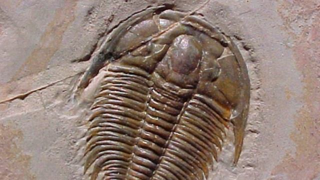 Артефакты ! (1)