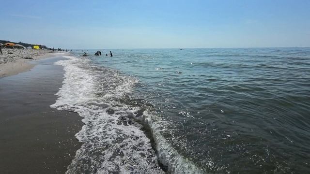 от Нессельбека до Янтарного