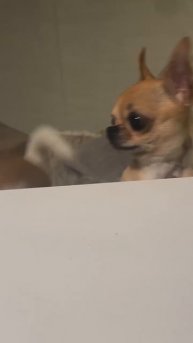 🌏 Милота какая