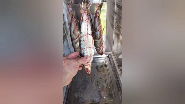 Рыба горячего копчения