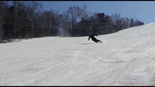 АРСГОРА 20-21