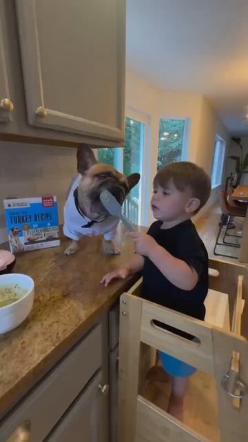 VID_20250816_184723_277.mp4