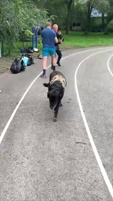 😂Проверено ГОСТом