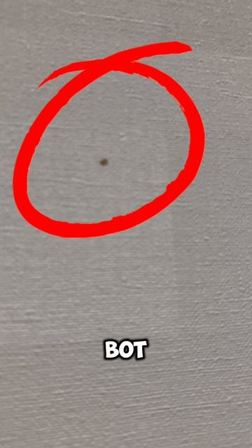 КТО ОТГАДАЕТ, что было в конце? ЭТО КАПЕЦ😱 #бабочки #насекомые #зоопарк #ржака #ржач #юмор #приколы