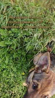 Будни женщины с хозяйством и характером