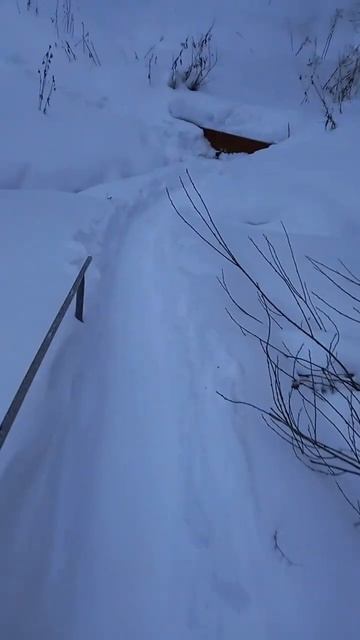 #shorts Чистая водичка#shorts