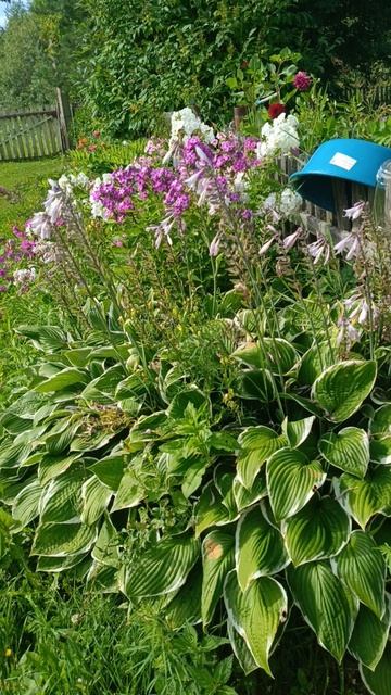 г,овоылвьчлвлк