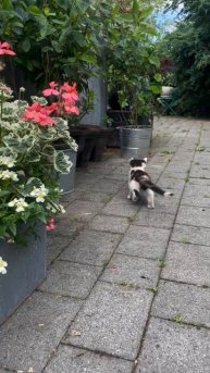 VID_20250816_184730_164.mp4