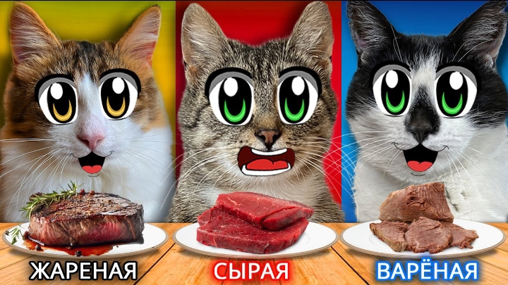 Челлендж: Сырая vs Вареная vs Жареная Еда — Что ВЫБЕРЕТ КОТ?