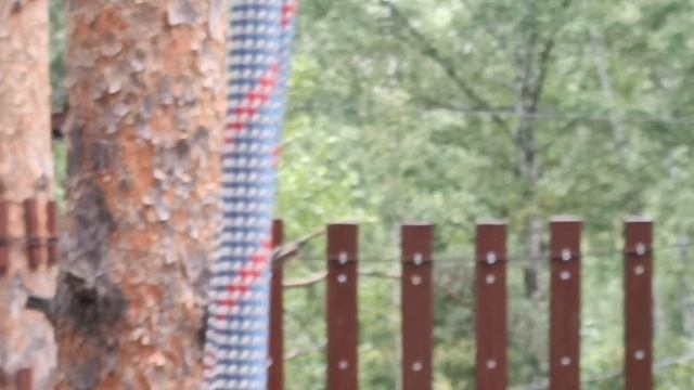 Беличья тропа