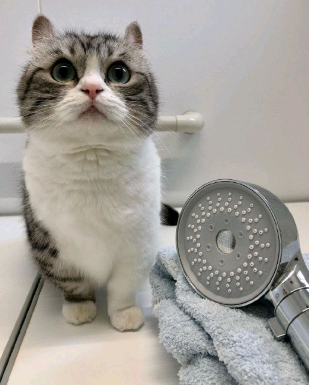 смотрю разных блогеров