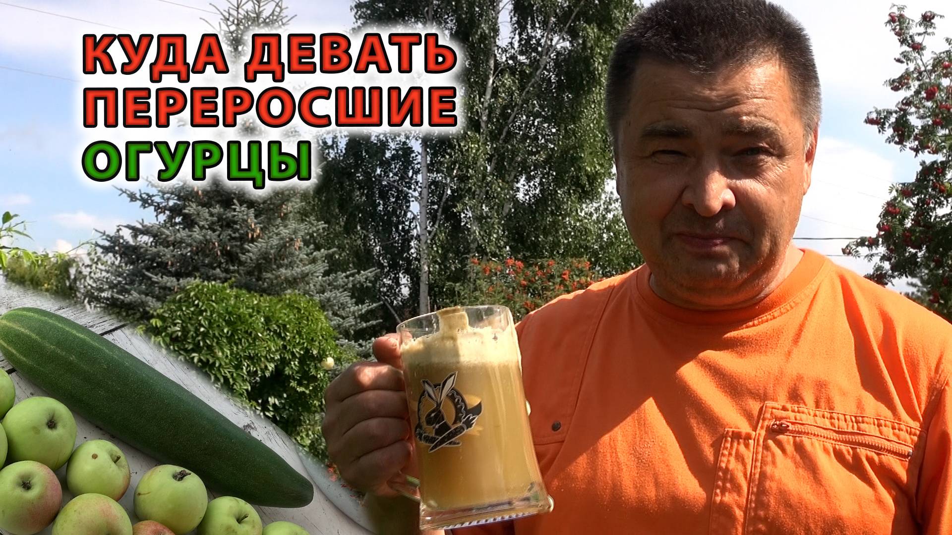 Напиток из яблок и переросших огурцов