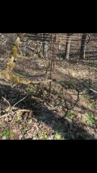 Первый раз в 2025 полноценно выехал из гаража на мотоцикле #мотосезон2025 #мотоцикл