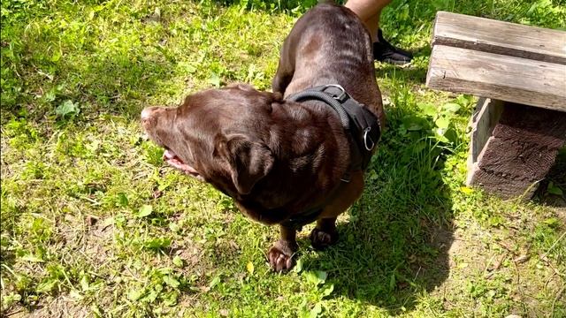 Конный центр караван ,наше путешествие