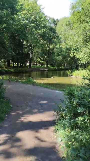 Бабушка и утки