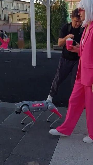 Бионический робот собака Unitree Go2 Air.